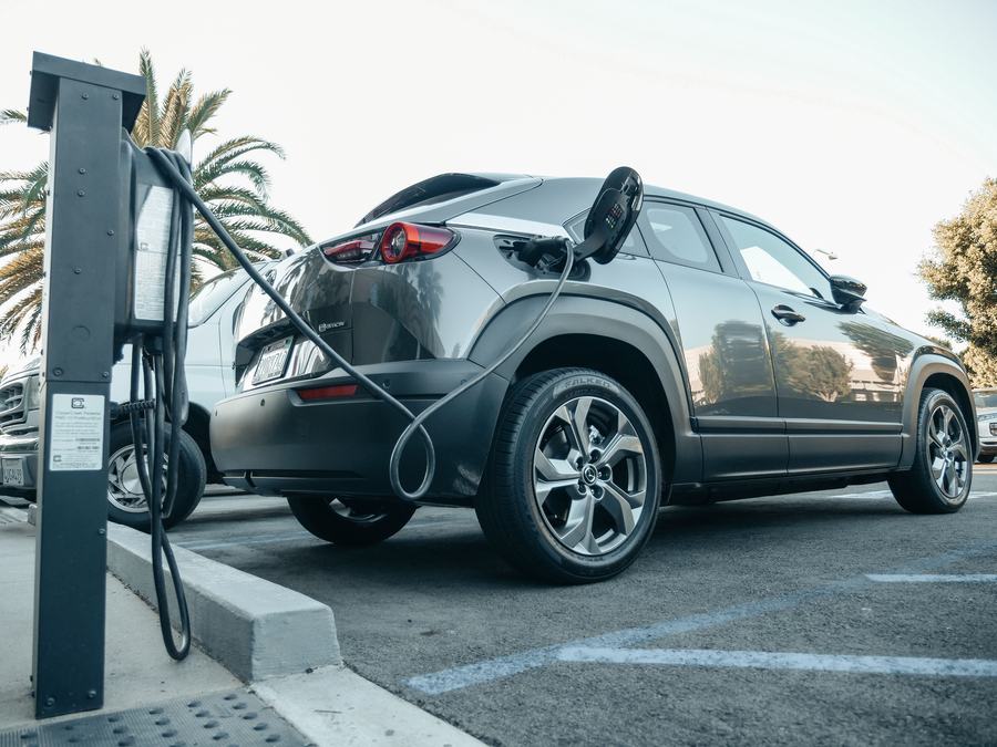 Voiture grise branchée à une borne de recharge sur un parking, avec des palmiers derrière